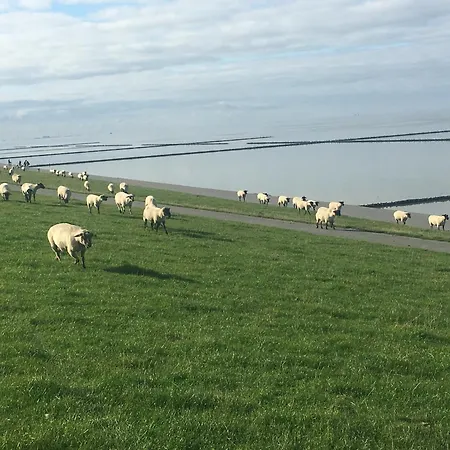 Lägenhet Ferienkate *