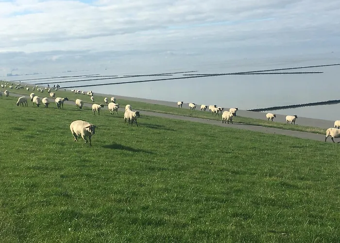 Lejlighed Ferienkate *