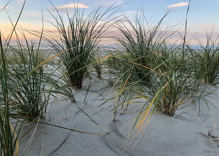 Lejlighed Ferienkate *